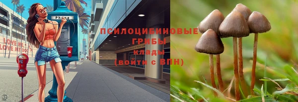 сатива Балабаново